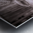 A Is For Alpaca Metal print