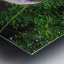 Mid Day Nap Impression metal