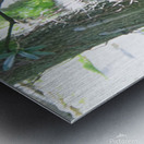  Western Lowland Gorilla Metal print