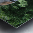 Silverback Gorilla Impression metal