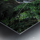 Monkeying Around Impression metal