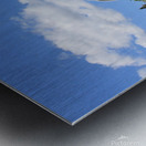 Conservatory Impression metal