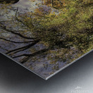 Rapunzels Summer Home Impression metal