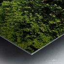 The Secret Bridge Metal print