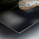 White Peacock Metal print