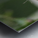 Buckeye Impression metal