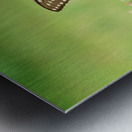 Swallowtail On Wild Flowers Metal print