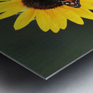 Summer Joy Impression metal