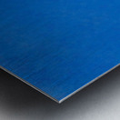 Jellyfish Metal print