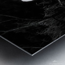 Sharing A Branch Impression metal