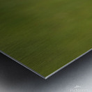 Great Egret Profile Metal print