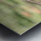 Eastern King Bird On A Branch Metal print