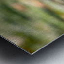 Peaceful Eastern King Bird Impression metal