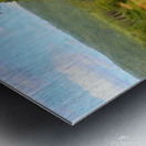 East Branch Of Delaware River Metal print