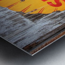 Shell On A Shed Impression metal