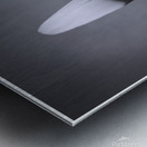 Black and White Feather Impression metal