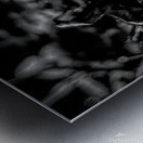 White Feather Metal print