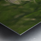 Feather Stuck O A Blade Of Grass Metal print