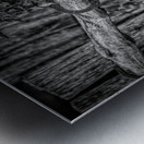 Horseshoe Fence In Black and White Impression metal