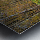 Sandburg Creek Metal print