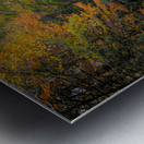 Road Along The Neversink Reservoir Impression metal