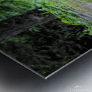 Will The Lion Sleep Tonight Metal print