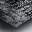 Iron Fence Metal print