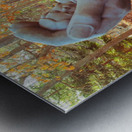 In The Safety Of His Hand Metal print