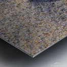 Solo Shell Metal print