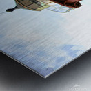 Little Red Lighthouse Metal print