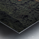 Esopus Meadow Lighthouse Edit Metal print