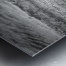 Black and White Sea Gull  Metal print