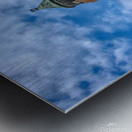 Water Tower At Robert Moses Impression metal