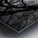 The Naked Tree Silhouette Impression metal