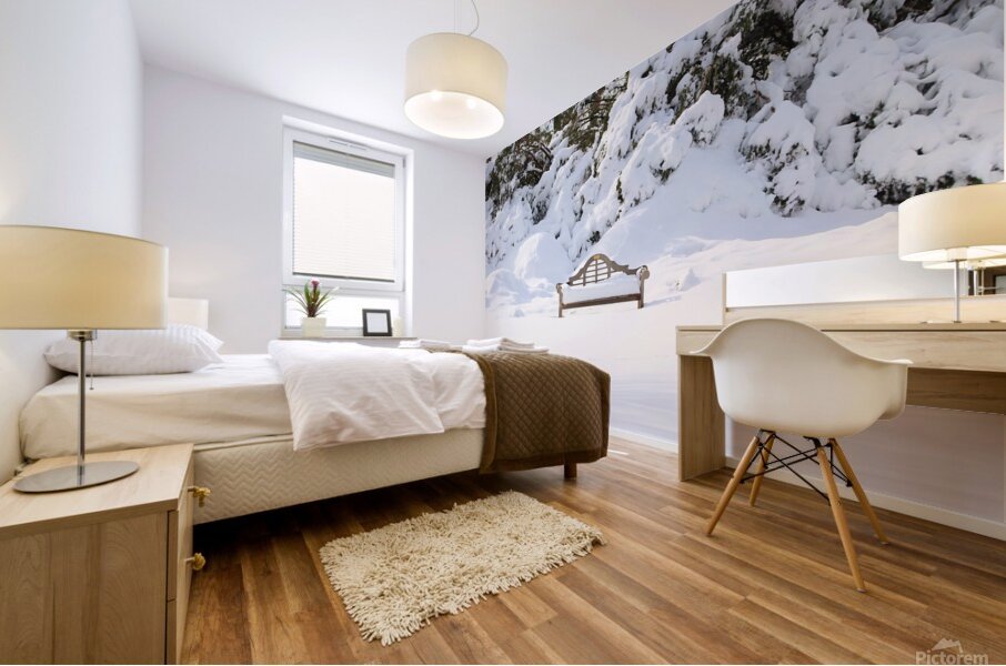 Snow Dwarfed Bench Mural print