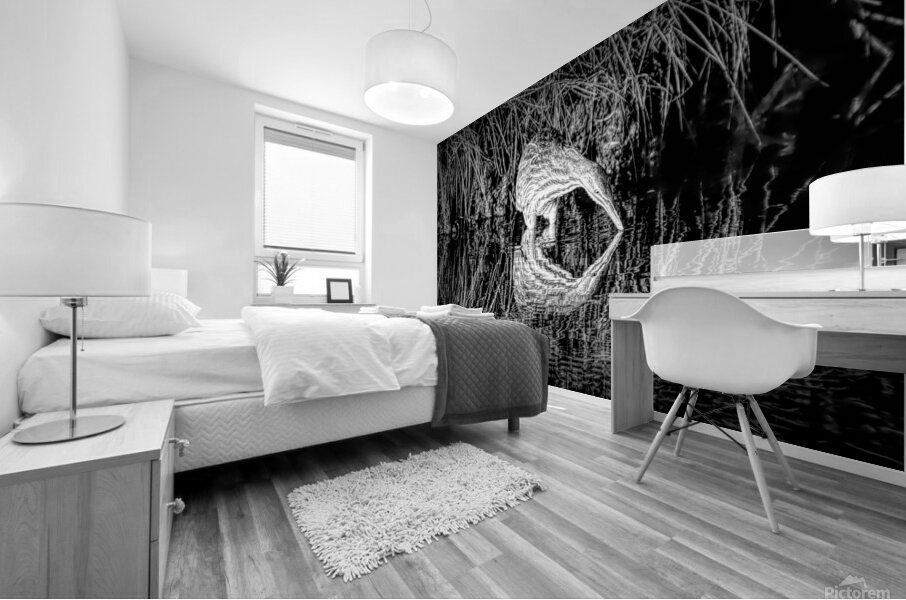 Mirror Reflection Of A Bittern Mural print