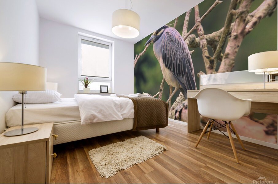 Studious Yellow Crown Mural print