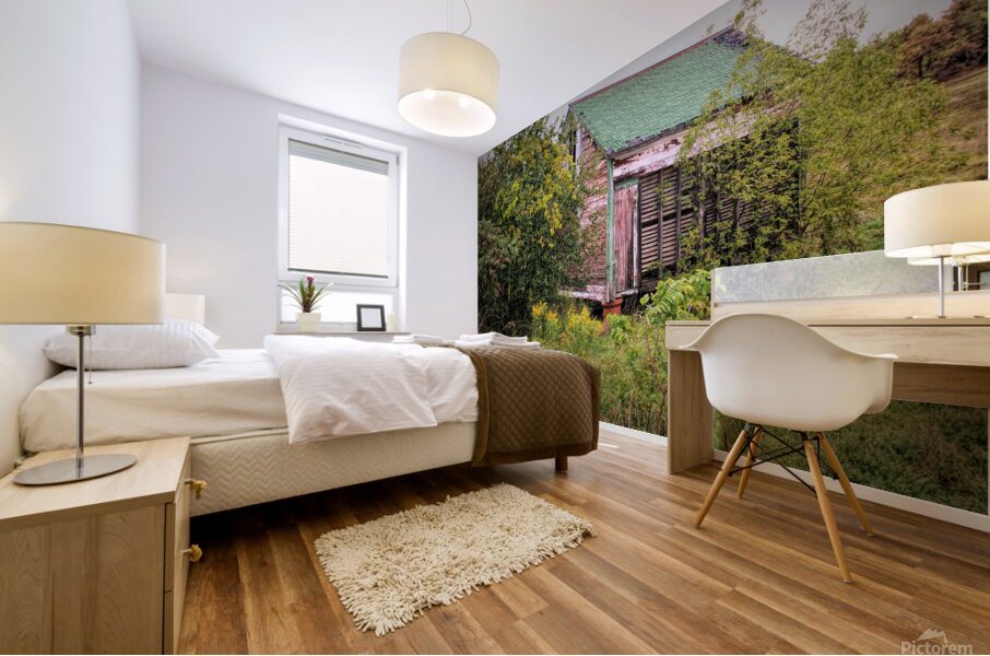 Forgotten Shed  Mural print