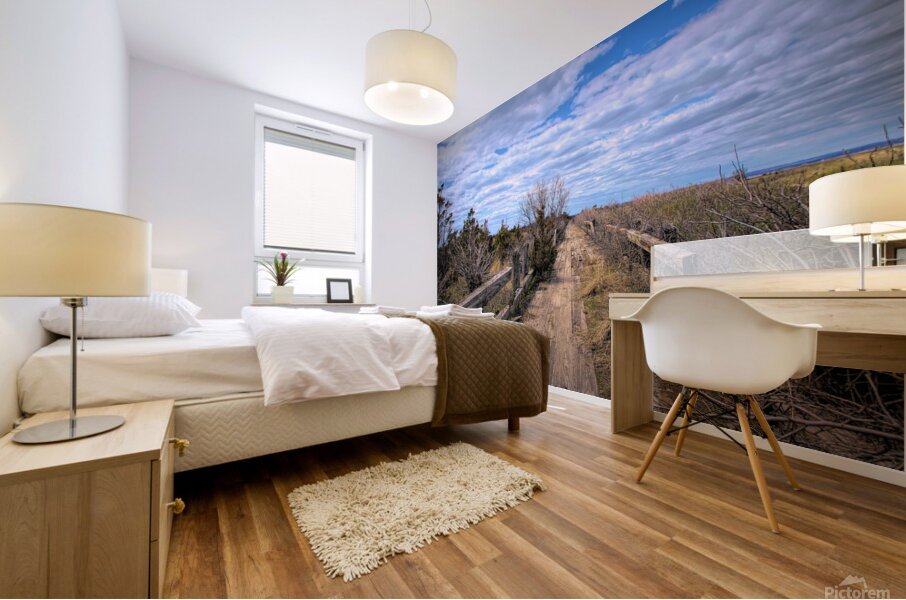 Path Along The Sound Mural print