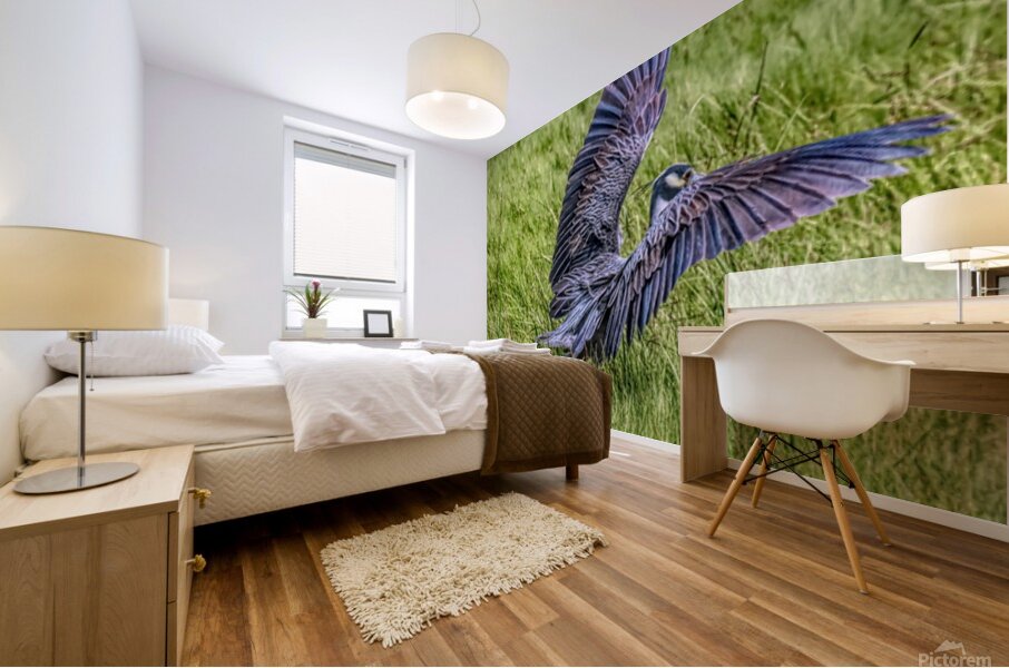 Awesome Landing Mural print