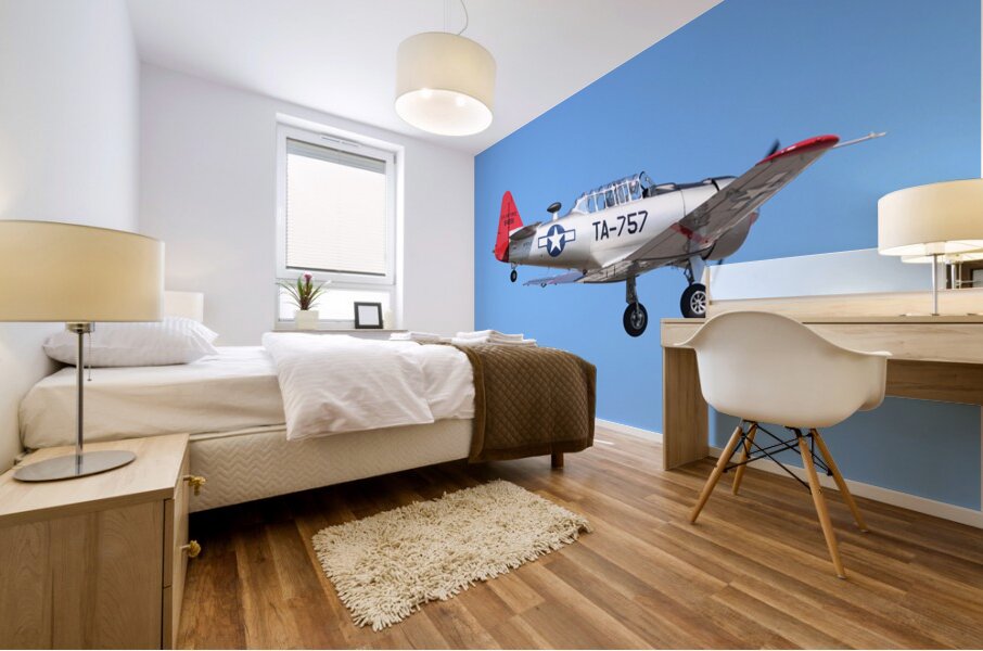 AT 6 Texan Mural print