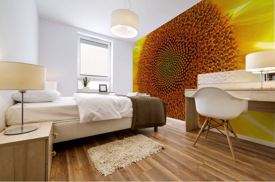 Fibonaccis Spiral  Mural print