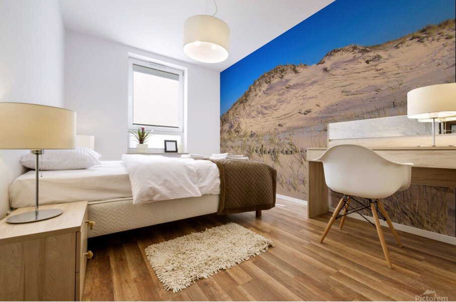 Dunes Reaching For The Sky Mural print