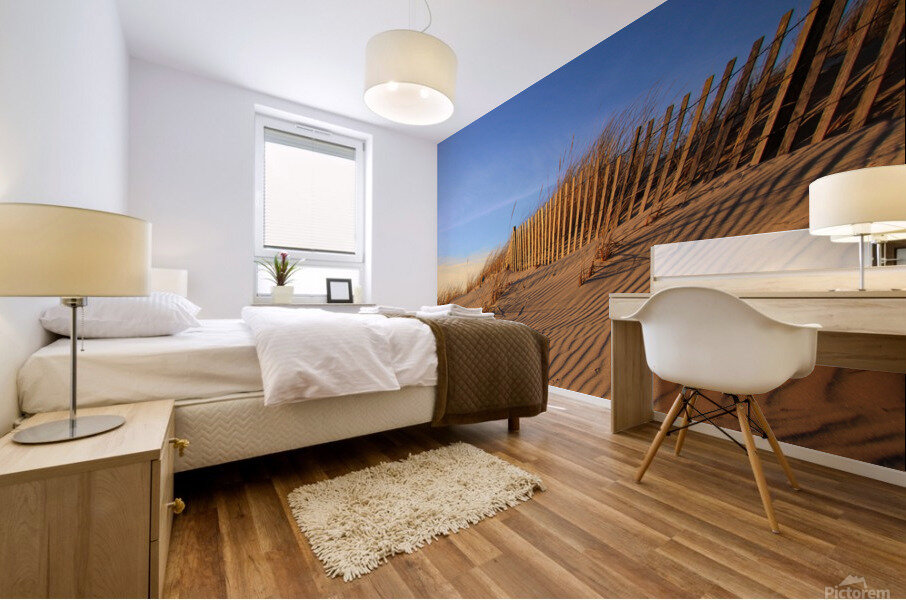 Dunes At Shinnecock Inlet Mural print