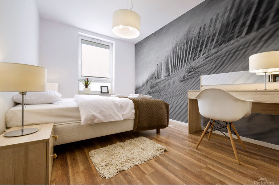 The Dunes In Black and White Mural print