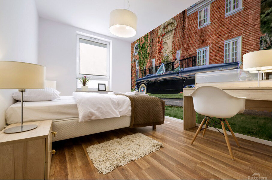 A Man And His T Bird Mural print