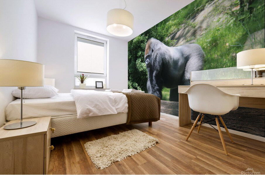 Silverback Gorilla Mural print