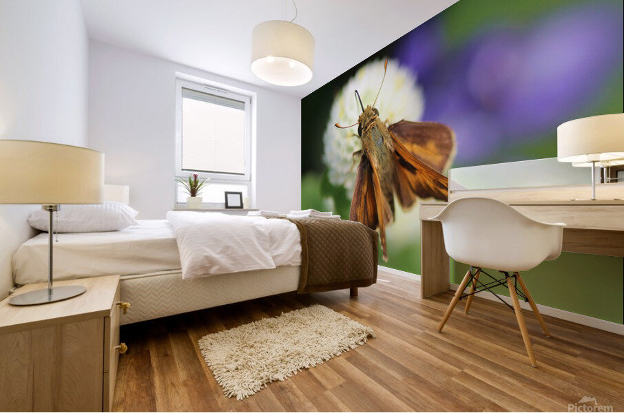 Delaware Skipper Mural print