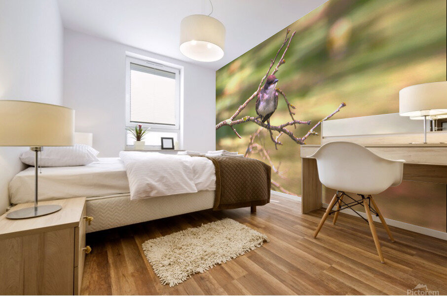 Eastern King Bird Enjoying The Day Mural print