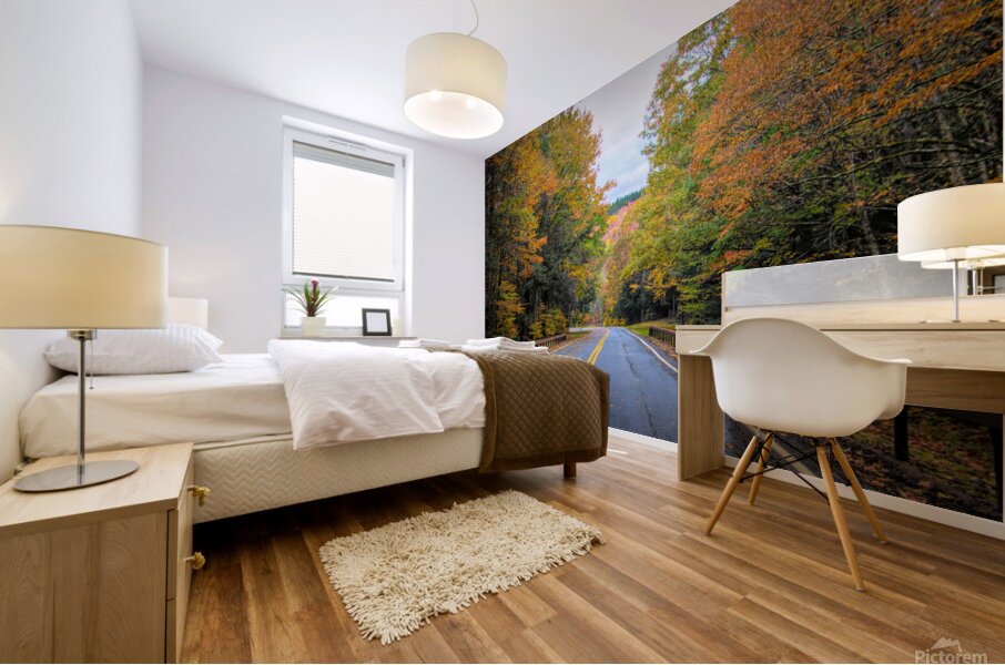 Road Along The Neversink Reservoir Mural print